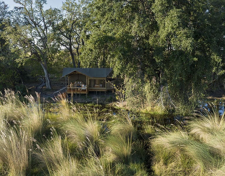 View of the exterior of a tent at Shinde Footsteps, nestled in the trees of the Delta and overlooking the marshes of the channel.