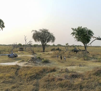 Tiene la oportunidad de reservar un vuelo en helicóptero y disfrutar de un safari a pie al aterrizar.