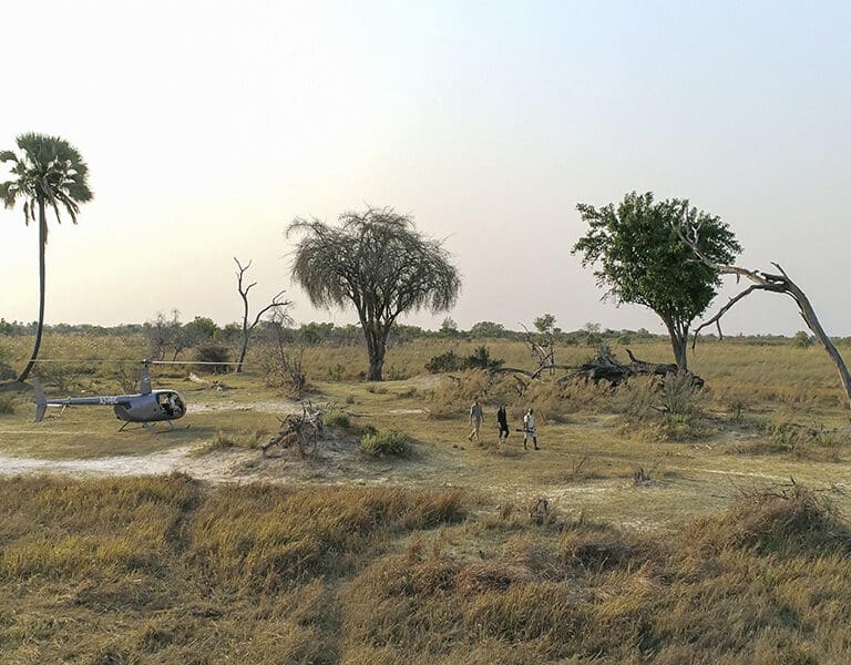 You have the opportunity to book a helicopter flight and enjoying a walking safari upon landing.