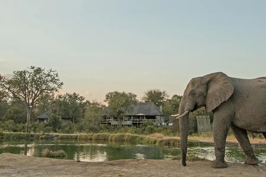 Simbambili-Game-Lodge