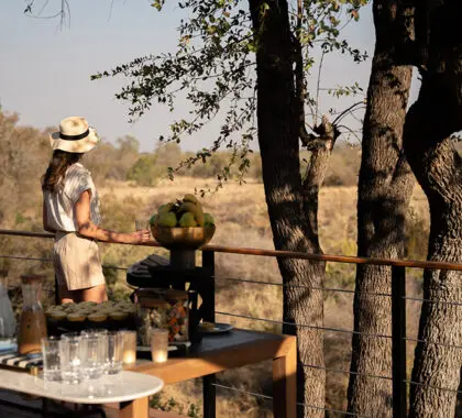 Té en la terraza del Simbambili Game Lodge.