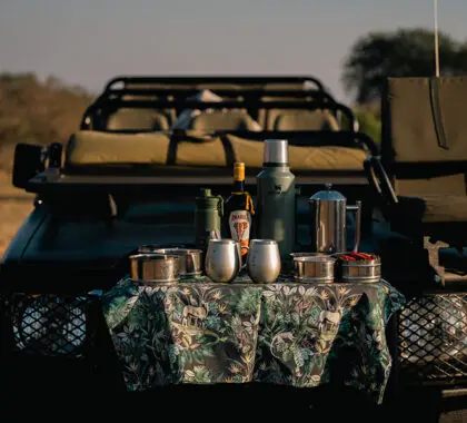 Parada para tomar café y aperitivos durante los safaris matutinos.