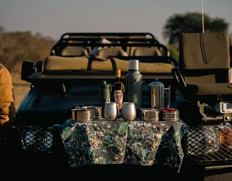 Parada para tomar café y aperitivos durante los safaris matutinos.