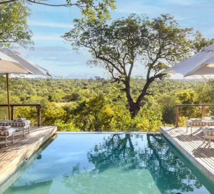 simbavati-hilltop-lodge-pool-banner