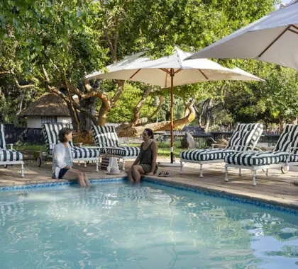 La piscina, bordeada de tumbonas acolchadas.