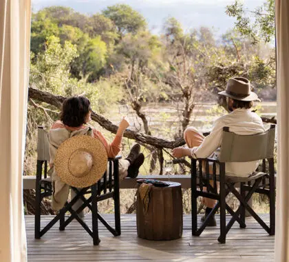 Disfrute de un "safari en sillón" desde la terraza de observación de animales de su suite en tiendas de campaña.