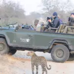 Spot the wildest animals on exciting game drives.