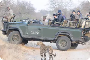 Spot the wildest animals on exciting game drives.