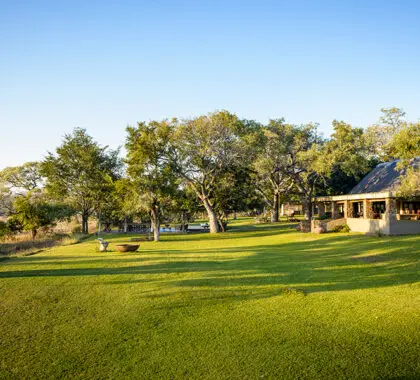 Césped de Singita Castleton.