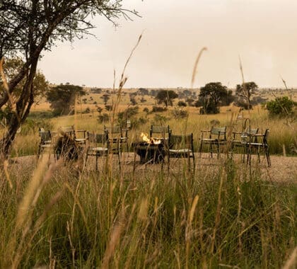 La hoguera en Singita Mara River.