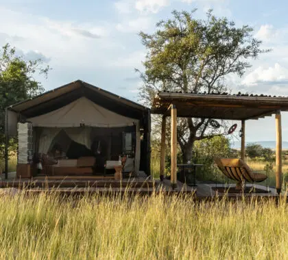 singita-mara-river-tented-camp_tent_exterior_emma_jackson-5-1-scaled