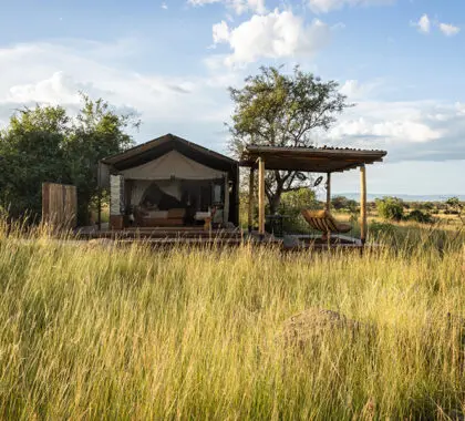 Singita Mara River Tented Camp.