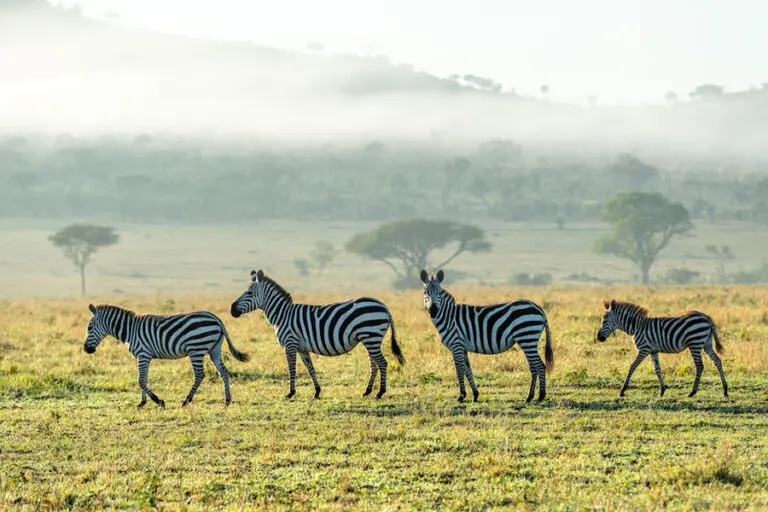 Incredible landscape and wildlife.