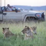 Excursiones de caza en el Serengeti. | Singita Sasakwa Lodge