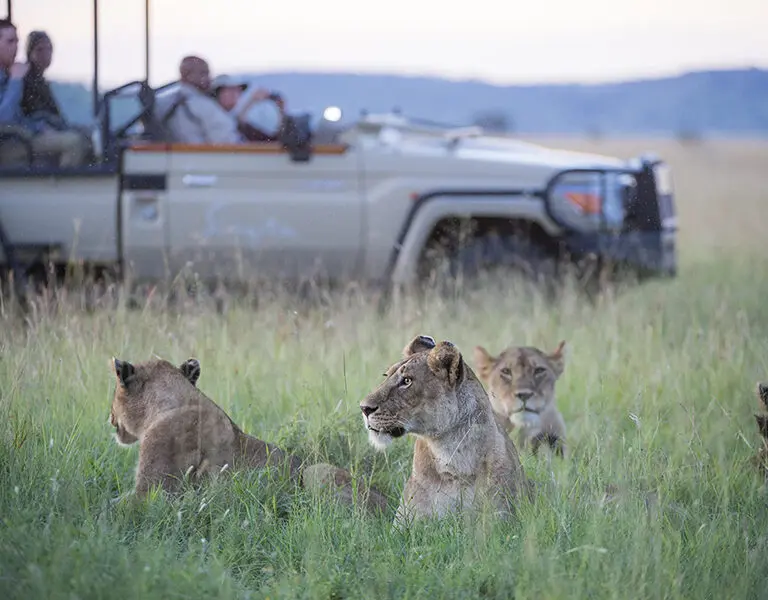 Game drives in the Serengeti. | Singita Sasakwa Lodge