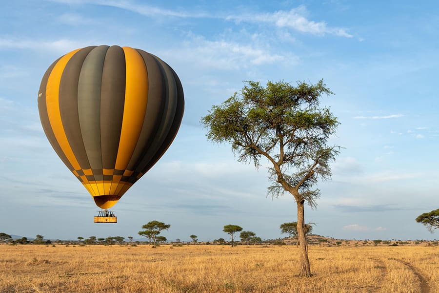 A hot air balloon soars over the Serengeti