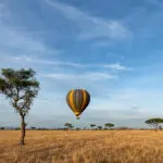 Reserve un safari en globo aerostático.