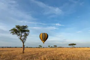 Reserve un safari en globo aerostático.