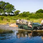 Safaris para disfrutar de una mejor vista en el Singita Ebony Lodge.