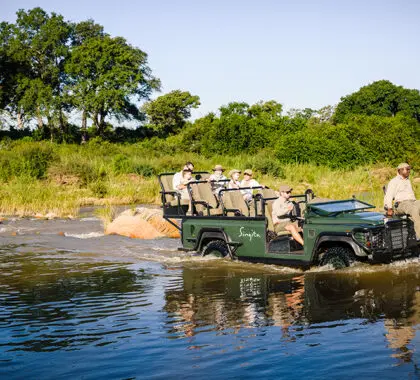 Safaris para disfrutar de una mejor vista en el Singita Ebony Lodge.