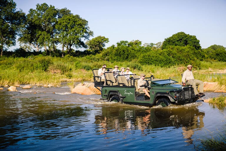 Safaris para disfrutar de una mejor vista en el Singita Ebony Lodge.