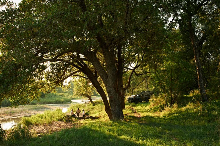 Disfrute de la belleza natural.