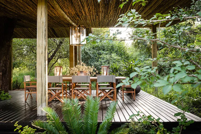 Cene en medio del bosque.