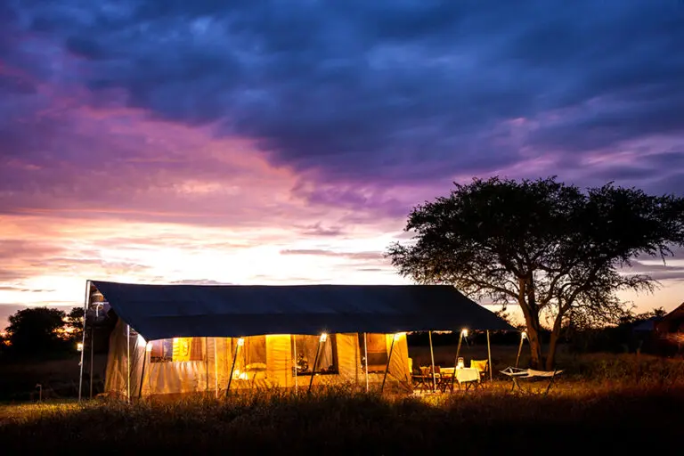 Diseñado para funcionar con un consumo mínimo de energía.