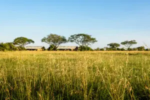Singita Explore es un campamento de tiendas privado.