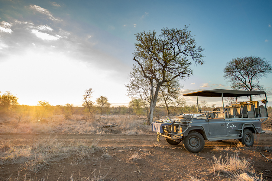 Experience amazing game drives.