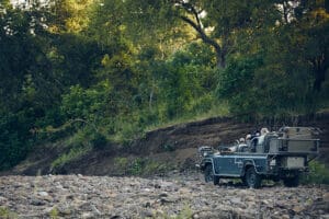 Emocionantes safaris.
