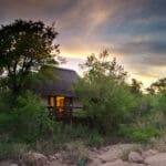 El Sabi Sabi Little Bush Camp, con seis suites, es ideal para que familias numerosas y grupos disfruten de total exclusividad.