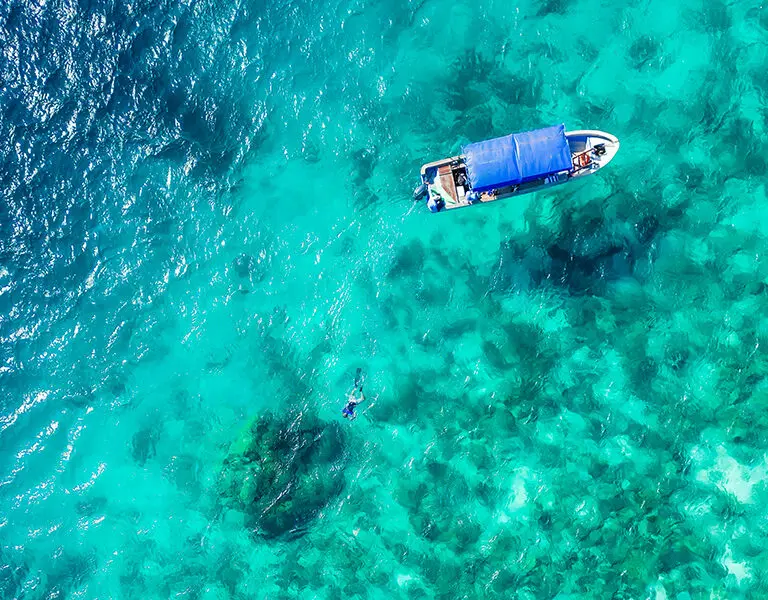 Snorkelling is a favorite pastime. 