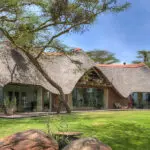 Solio Lodge tiene ventanas del suelo al techo en honor a la ubicación.