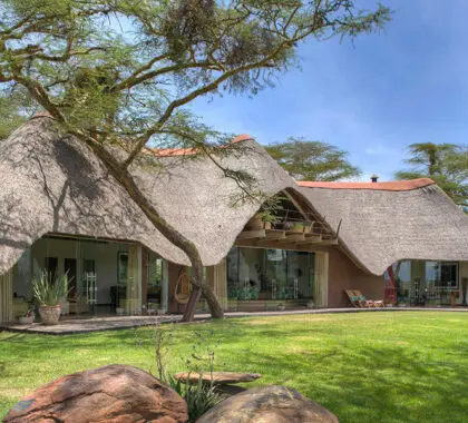 Solio Lodge tiene ventanas del suelo al techo en honor a la ubicación.