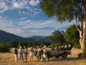 Los viajeros en solitario disfrutarán de la dinámica de un safari en grupo reducido: personas con ideas afines en unas vacaciones de ensueño.