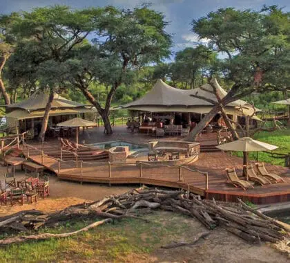 somalisa-acacia-zimbabwe-hwange-np-banner-2