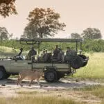 Incredible wildlife sightings on game drives.