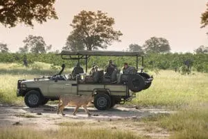 Incredible wildlife sightings on game drives.