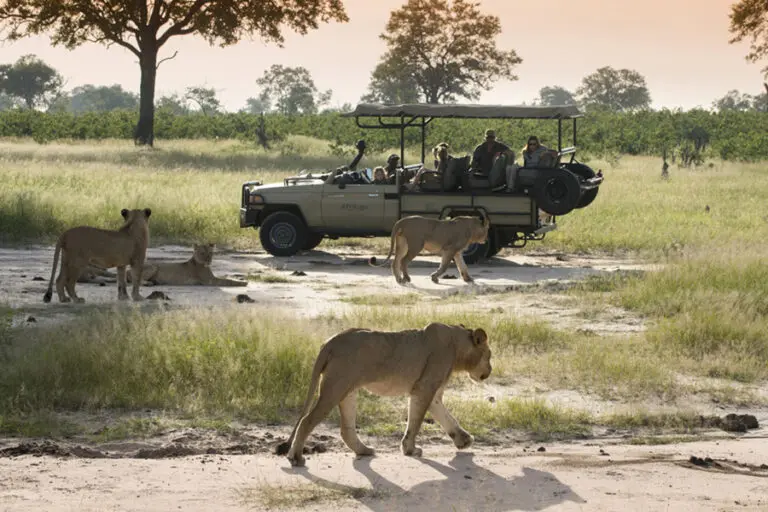 Los safaris de caza mayor en Hwange incluyen recorridos en 4x4.