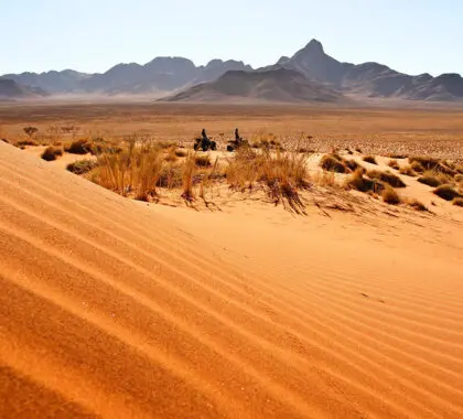 Dune quadbiking.