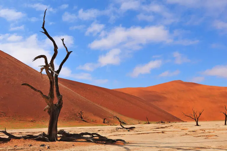 Striking red dunes | Sossusvlei Lodge