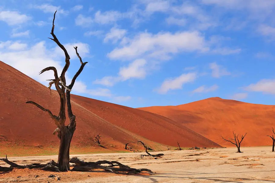 Deadvlei.