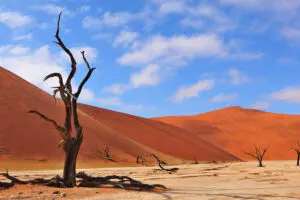 Deadvlei.