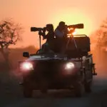 Photographic safaris available.