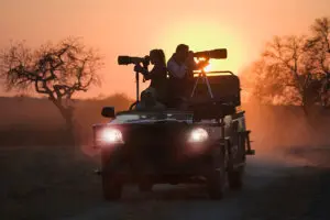 Photographic safaris available.