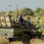 Recorridos por la Reserva Privada de Phinda.