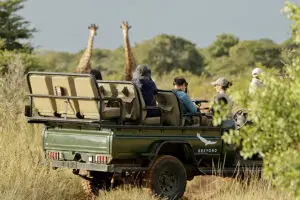 Recorridos por la Reserva Privada de Phinda. 