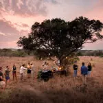 Special sundowner stops.