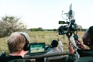 Conservation experiences available.